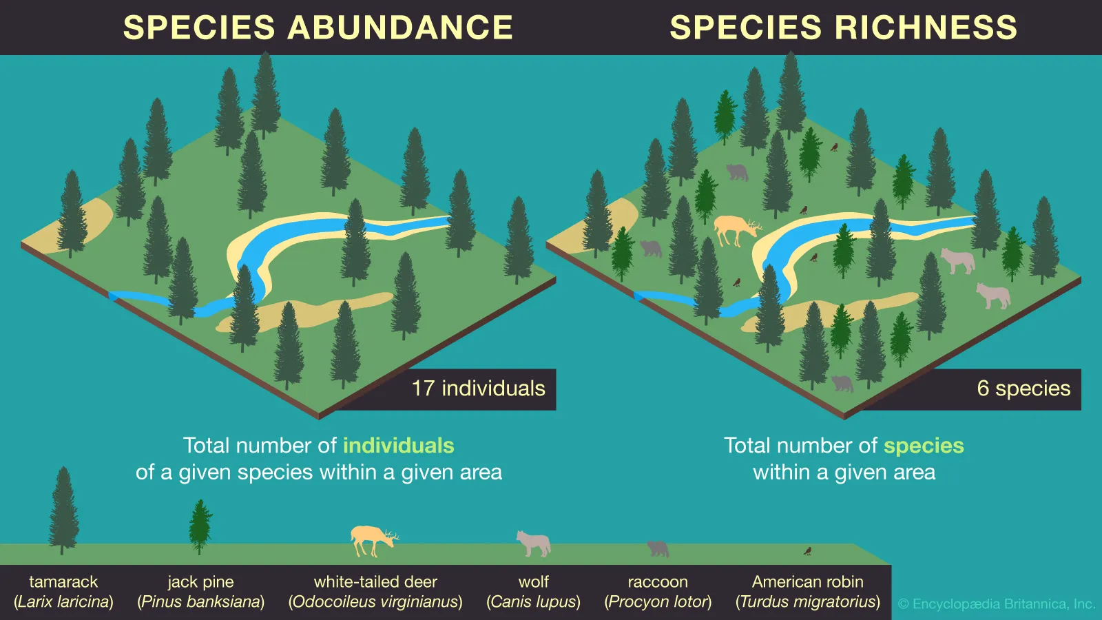 Species Richness Global Map