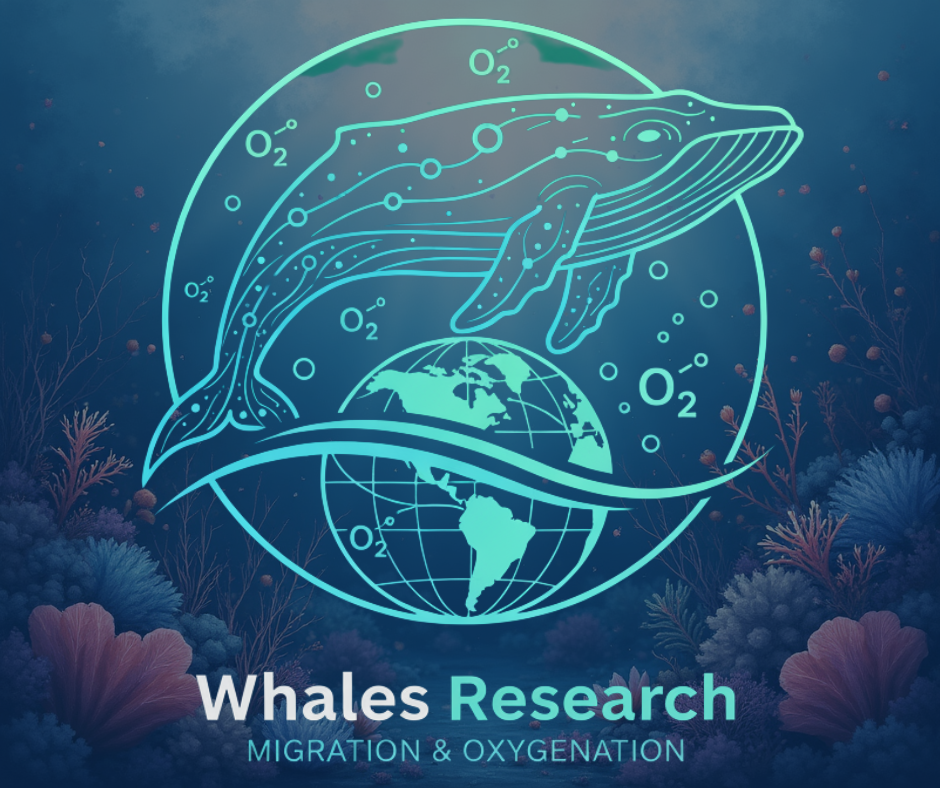 WhalesResearch Premium Logo